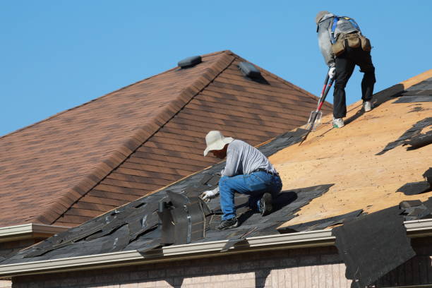 Best Roof Insulation Installation  in Lonville, GA
